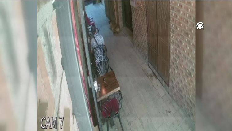 Pamukkale Kafeler Sokağı'nda sevmek istediği sokak köpeği ısırdı - Resim: 20